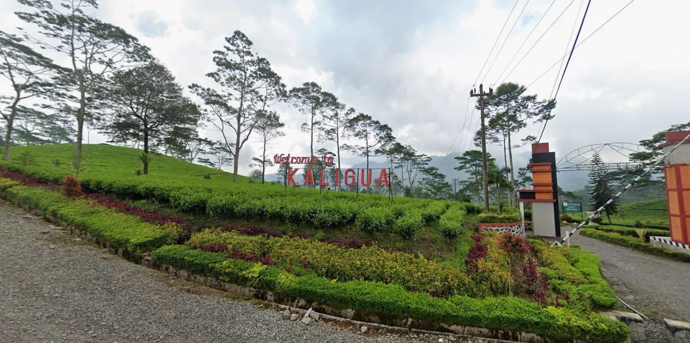 Pengembangan Kawasan Ekowisata Tuk Sirah Pemali Menuju Destinasi Unggulan