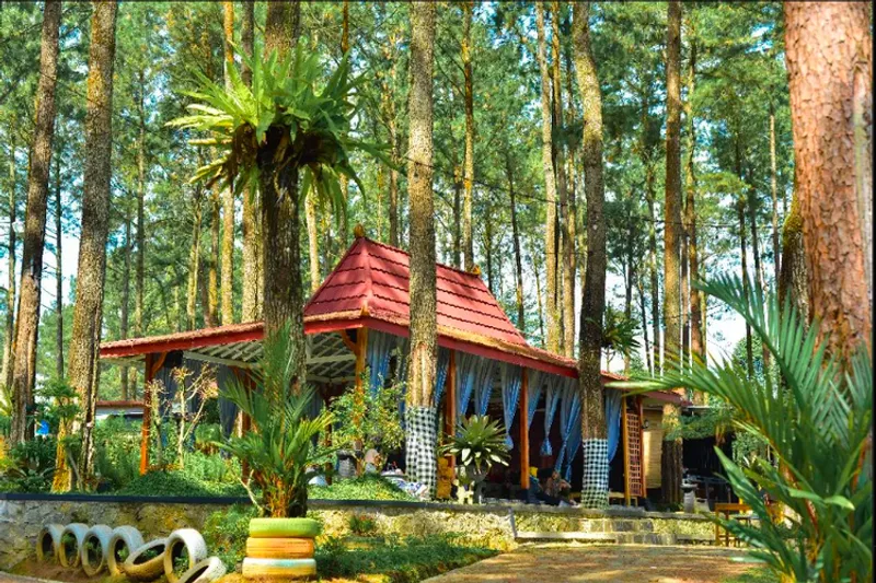 Wisata Alam Tuk Sirah Pemali